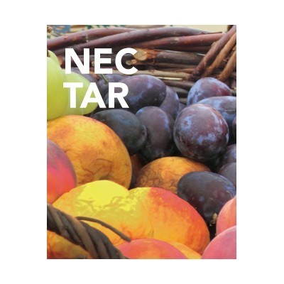 NECTAR